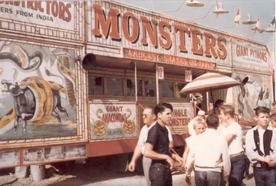 The Reading Fair